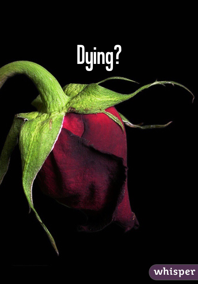 Dying? 