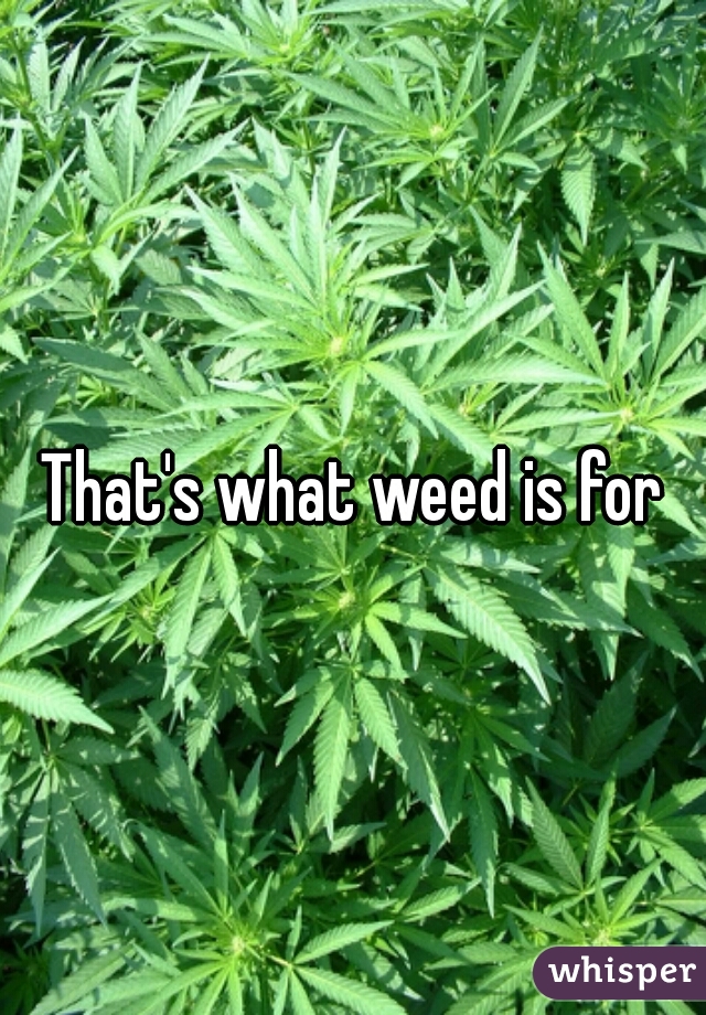 That's what weed is for