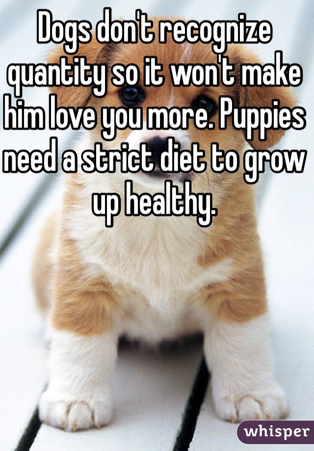 Dogs don't recognize quantity so it won't make him love you more. Puppies need a strict diet to grow up healthy.