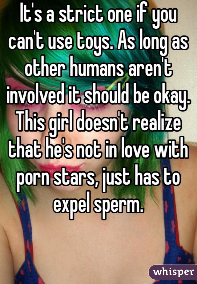 It's a strict one if you can't use toys. As long as other humans aren't involved it should be okay. This girl doesn't realize that he's not in love with porn stars, just has to expel sperm.  