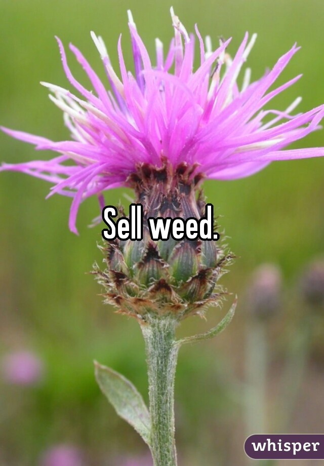 Sell weed.