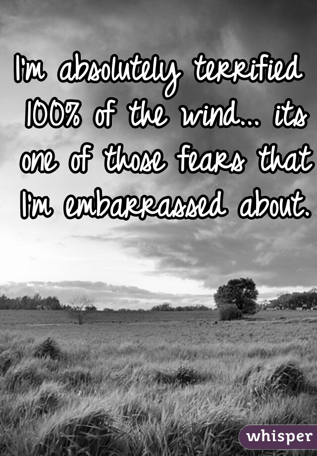 I'm absolutely terrified 100% of the wind... its one of those fears that I'm embarrassed about.