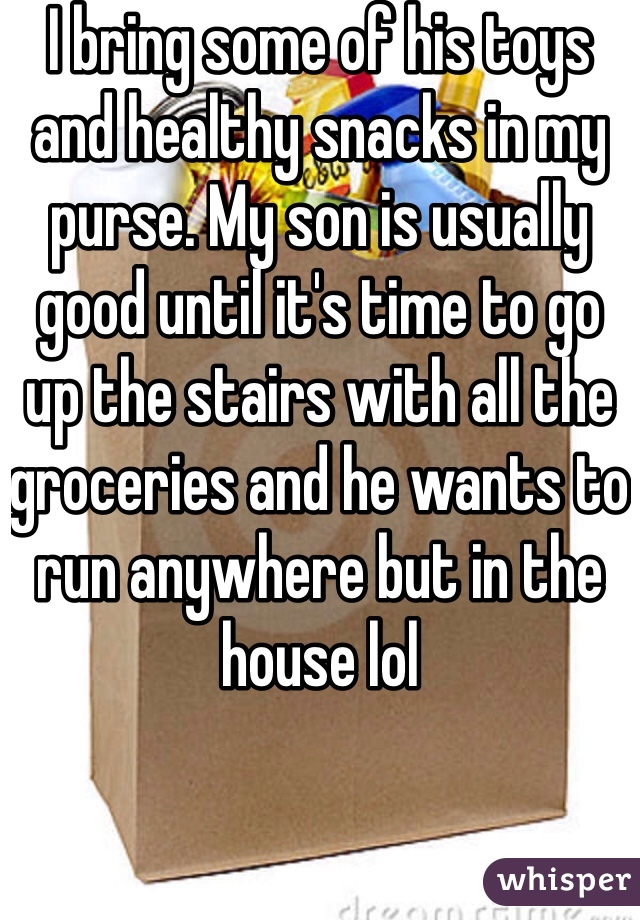 I bring some of his toys and healthy snacks in my purse. My son is usually good until it's time to go up the stairs with all the groceries and he wants to run anywhere but in the house lol 