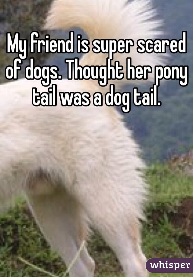 My friend is super scared of dogs. Thought her pony tail was a dog tail. 