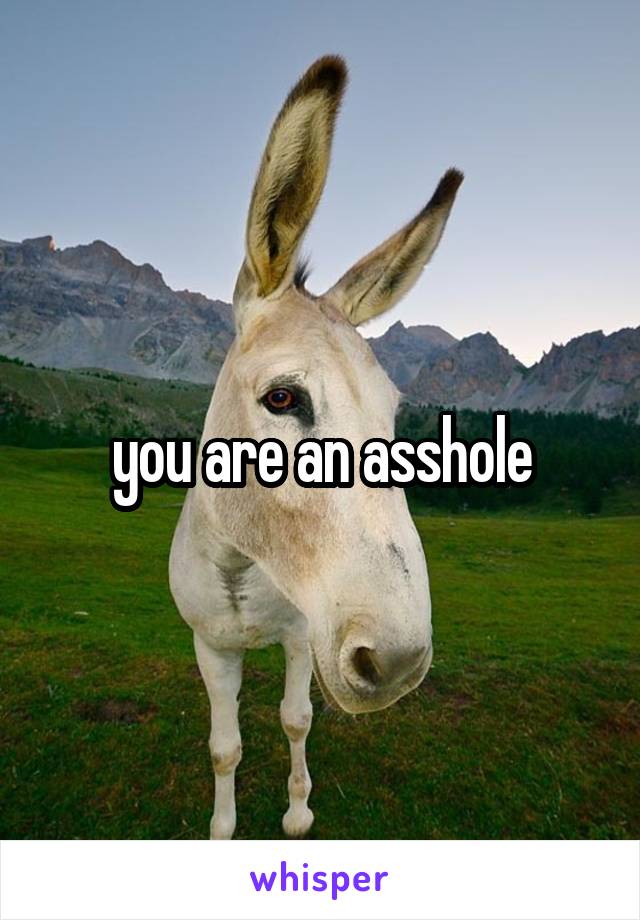 you are an asshole