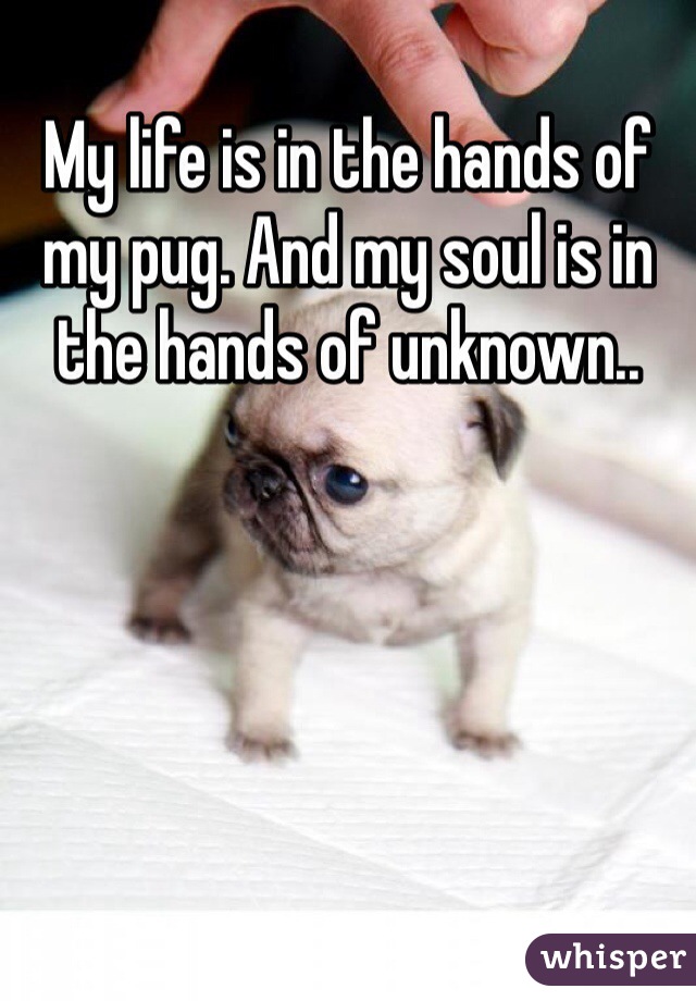 My life is in the hands of my pug. And my soul is in the hands of unknown..
