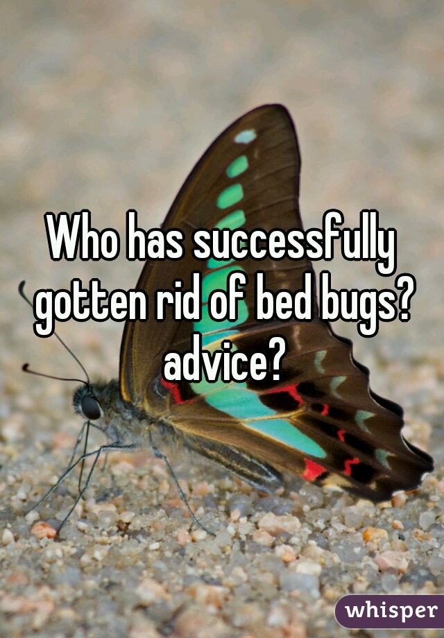 Who has successfully gotten rid of bed bugs? advice?