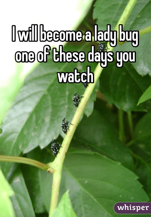 I will become a lady bug one of these days you watch 