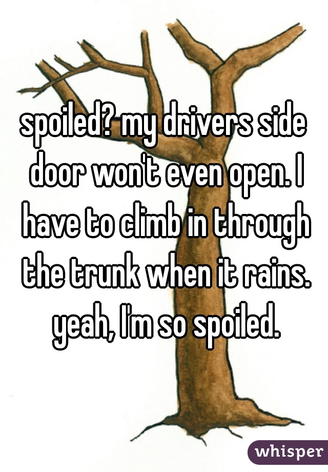 spoiled? my drivers side door won't even open. I have to climb in through the trunk when it rains. yeah, I'm so spoiled.