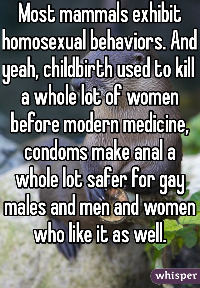 Most mammals exhibit homosexual behaviors. And yeah, childbirth used to kill a whole lot of women before modern medicine, condoms make anal a whole lot safer for gay males and men and women who like it as well.
