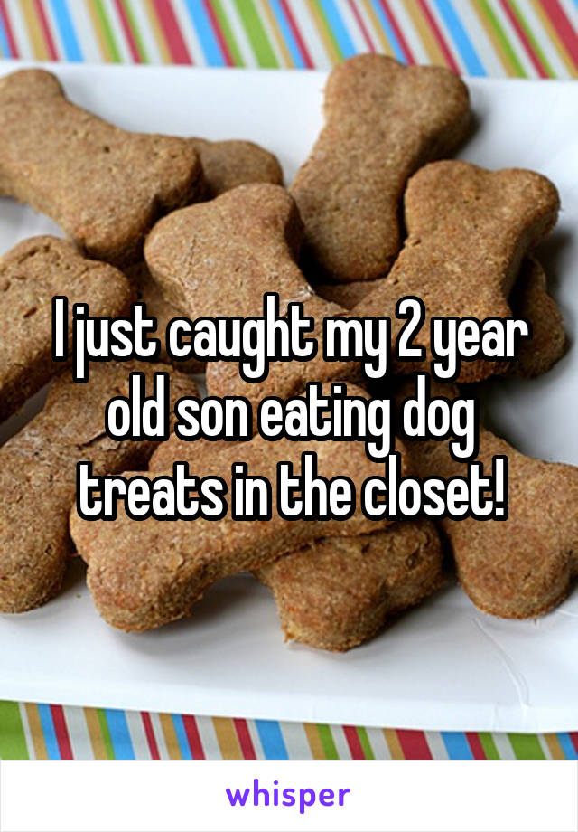 I just caught my 2 year old son eating dog treats in the closet!