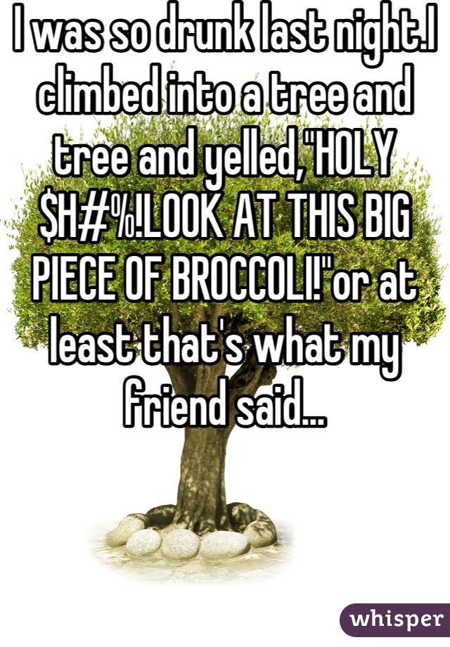 I was so drunk last night.I climbed into a tree and tree and yelled,"HOLY $H#%!LOOK AT THIS BIG PIECE OF BROCCOLI!"or at least that's what my friend said...