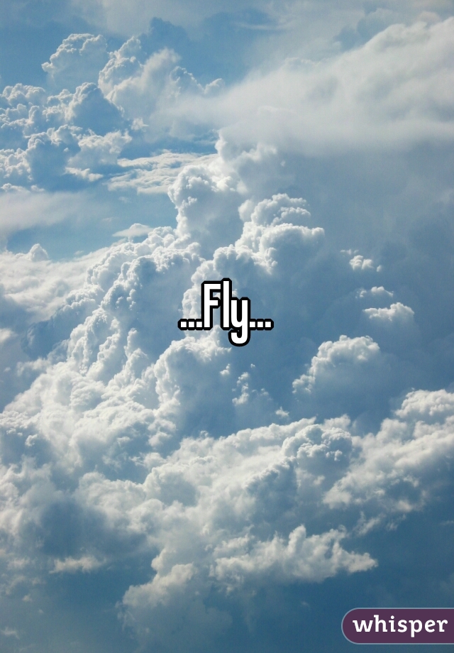 ...Fly...