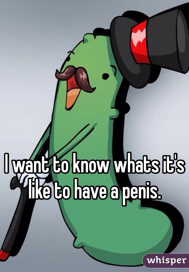 I want to know whats it's like to have a penis.