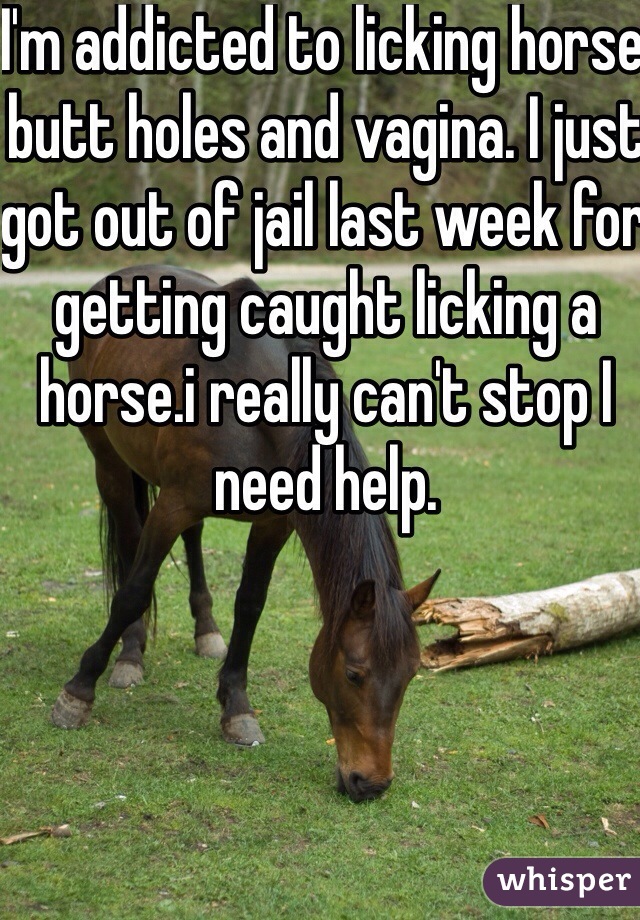 I'm addicted to licking horse butt holes and vagina. I just got out of jail last week for getting caught licking a horse.i really can't stop I need help. 