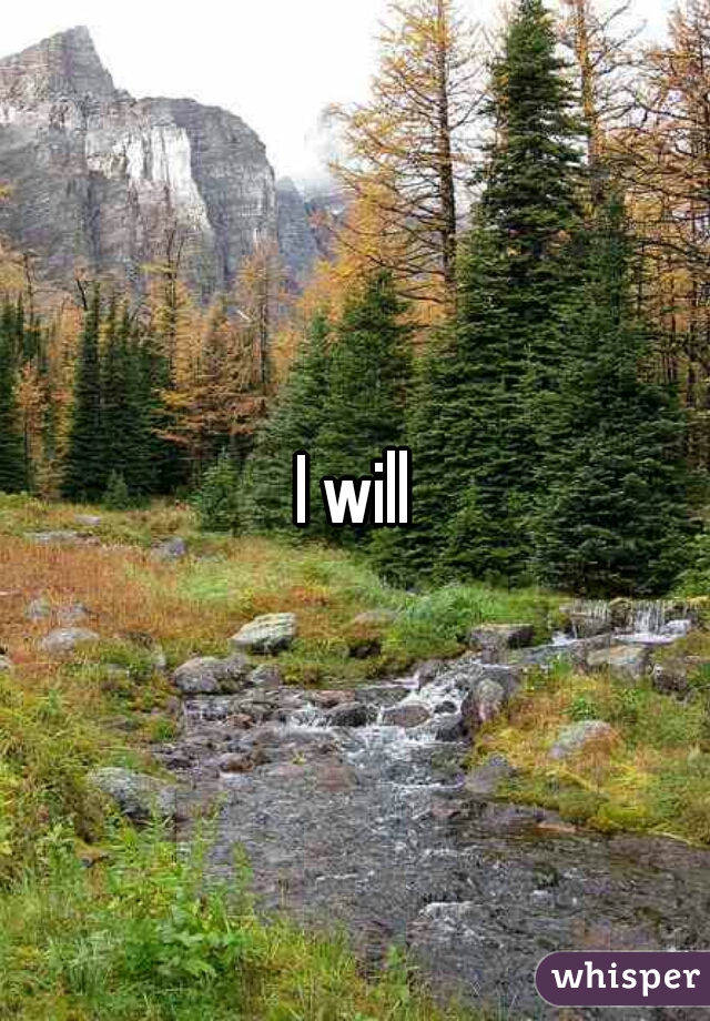 I will