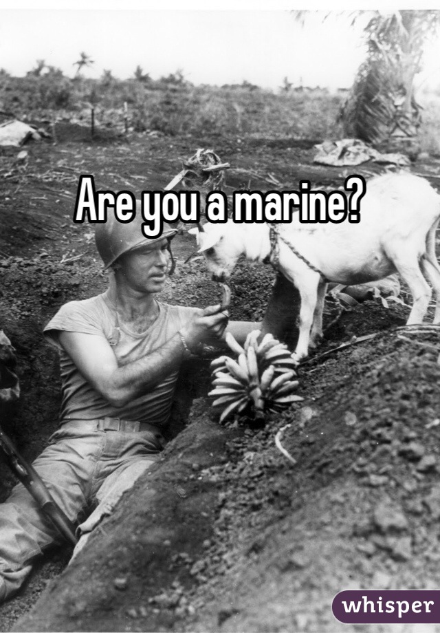 Are you a marine?