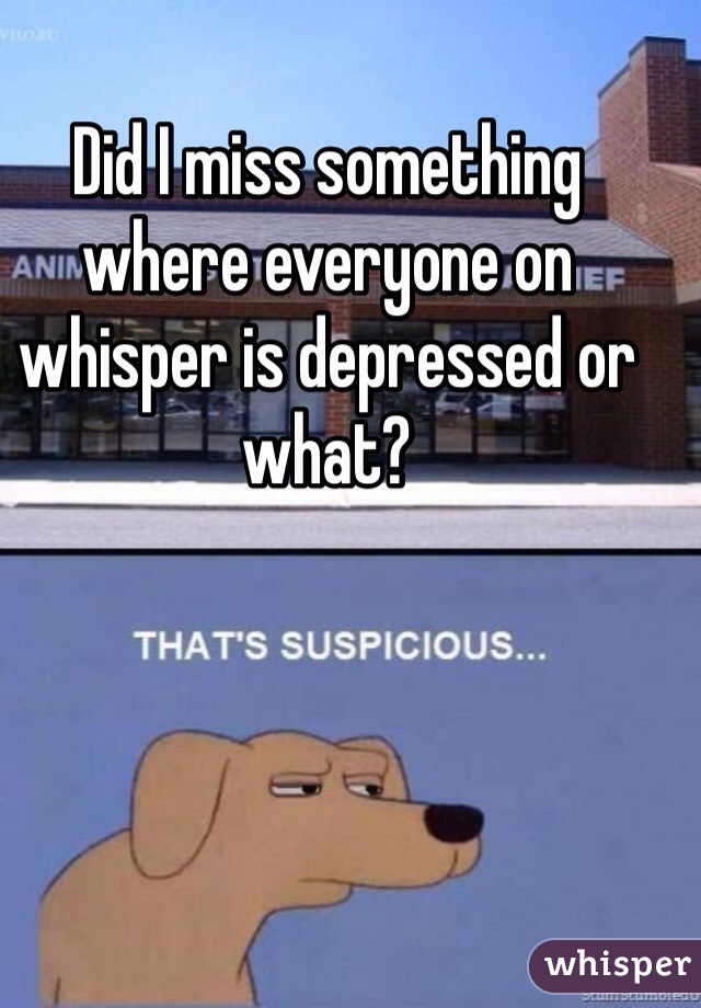 Did I miss something where everyone on whisper is depressed or what?