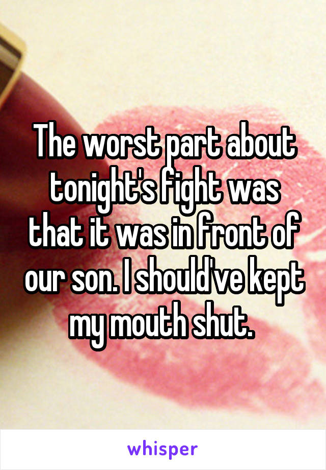 The worst part about tonight's fight was that it was in front of our son. I should've kept my mouth shut. 