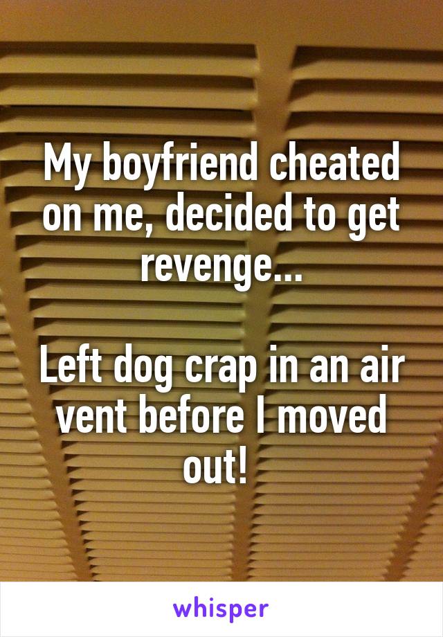 My boyfriend cheated on me, decided to get revenge...

Left dog crap in an air vent before I moved out! 