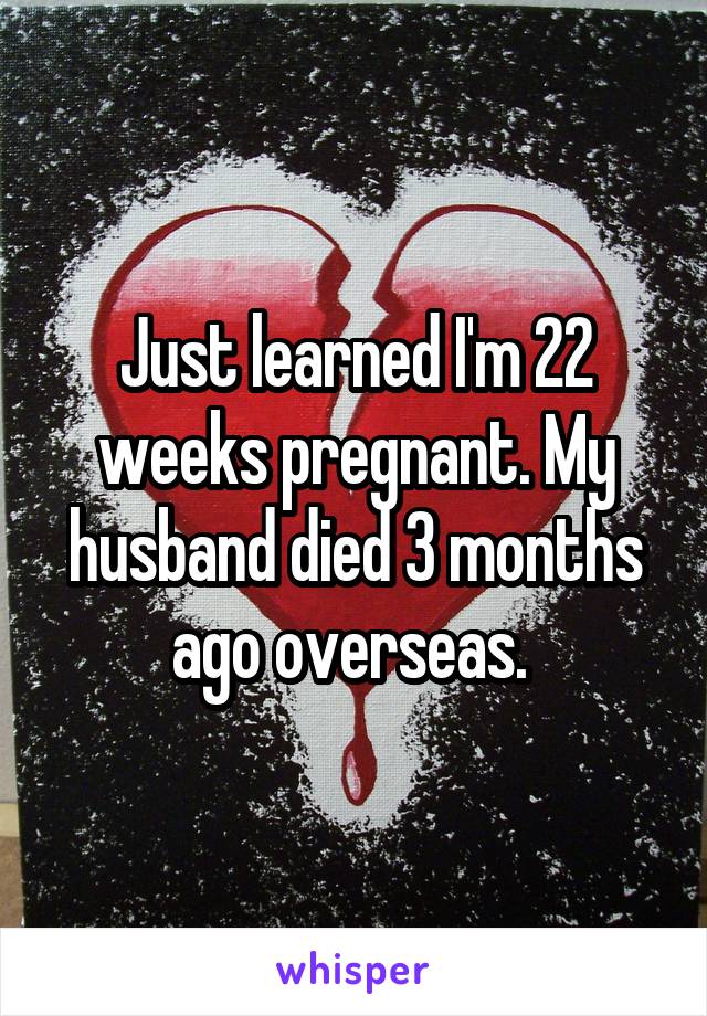 Just learned I'm 22 weeks pregnant. My husband died 3 months ago overseas. 
