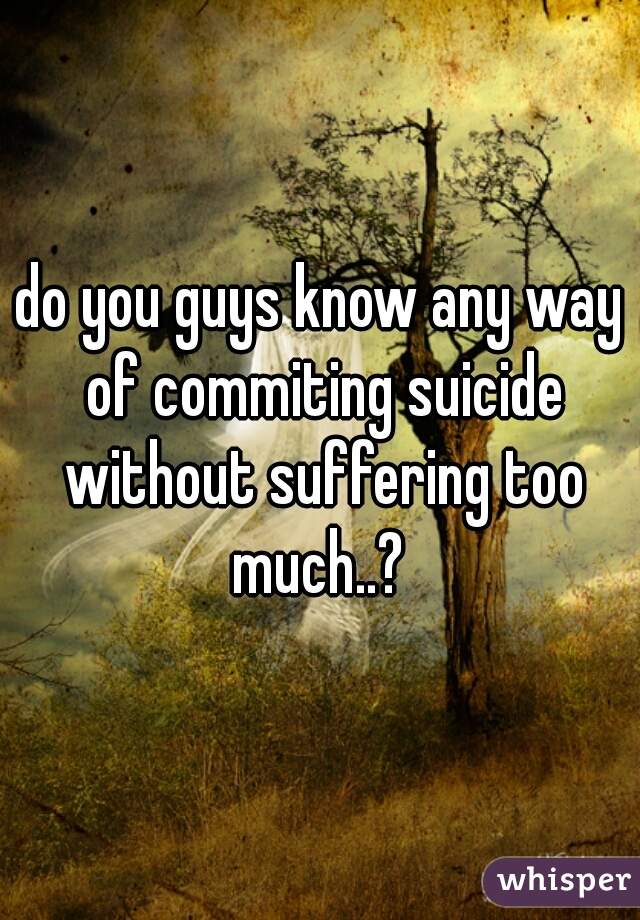 do you guys know any way of commiting suicide without suffering too much..? 