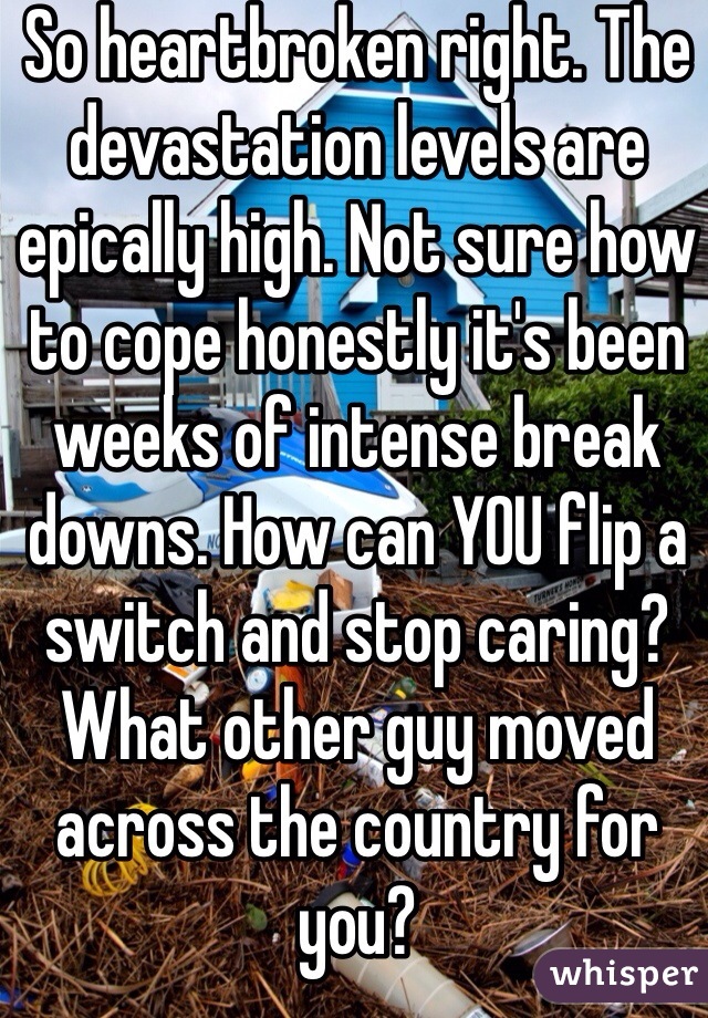 So heartbroken right. The devastation levels are epically high. Not sure how to cope honestly it's been weeks of intense break downs. How can YOU flip a switch and stop caring? What other guy moved across the country for you?