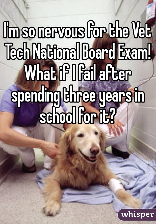 I'm so nervous for the Vet Tech National Board Exam! What if I fail after spending three years in school for it?