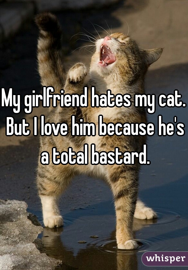 My girlfriend hates my cat. But I love him because he's a total bastard.