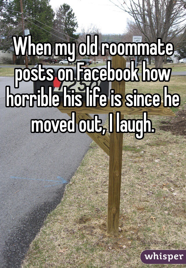 When my old roommate posts on Facebook how horrible his life is since he moved out, I laugh.