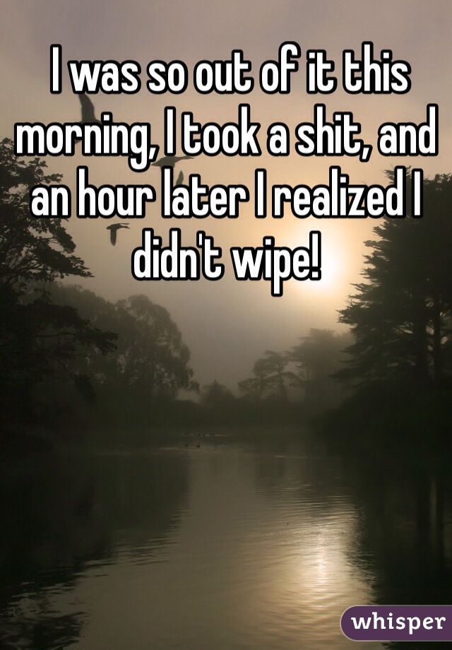  I was so out of it this morning, I took a shit, and an hour later I realized I didn't wipe!