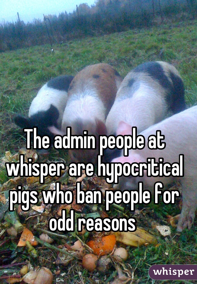 The admin people at whisper are hypocritical pigs who ban people for odd reasons 