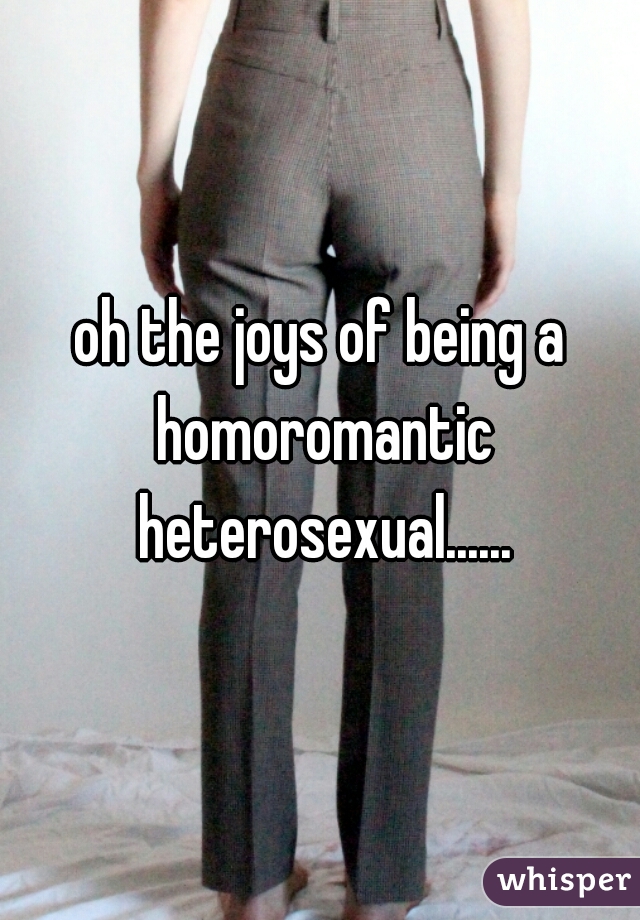 oh the joys of being a homoromantic heterosexual......