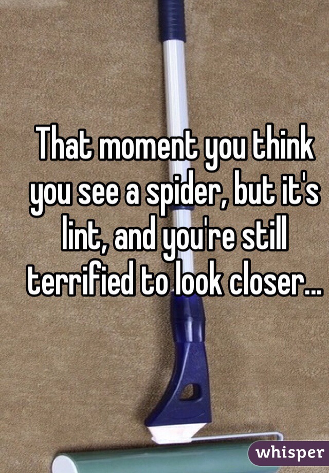 That moment you think you see a spider, but it's lint, and you're still terrified to look closer...