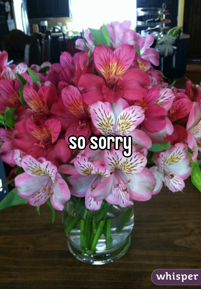 so sorry