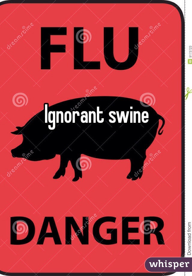 Ignorant swine 