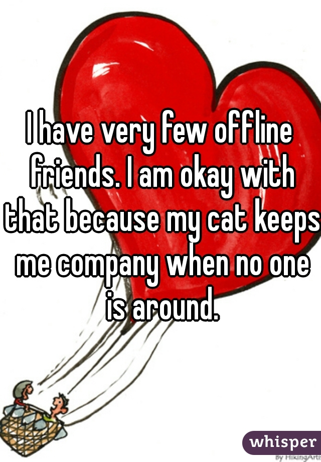 I have very few offline friends. I am okay with that because my cat keeps me company when no one is around.
