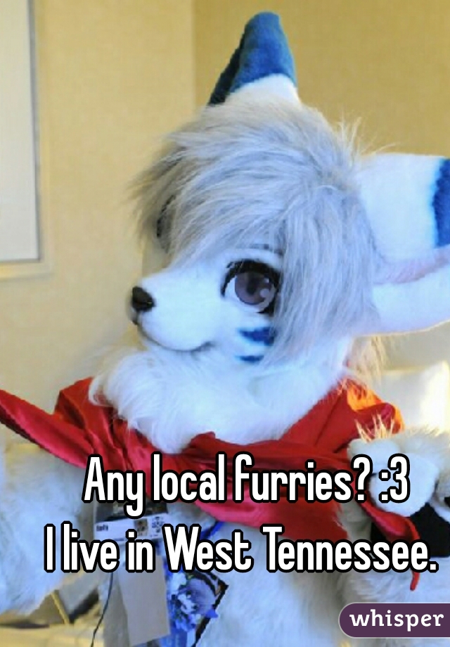 Any local furries? :3
I live in West Tennessee. 