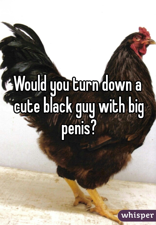 Would you turn down a cute black guy with big penis?