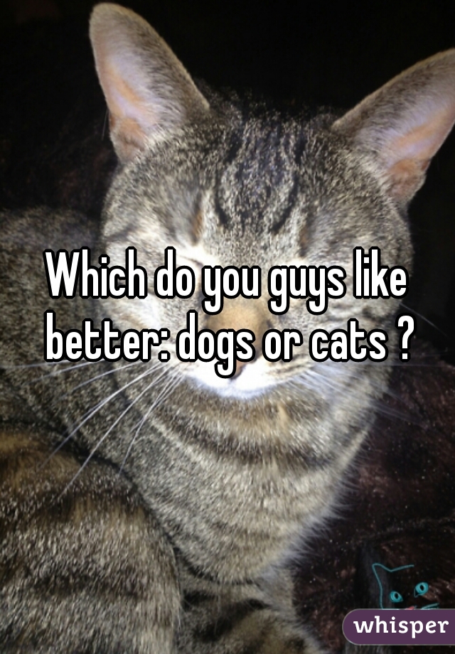 Which do you guys like better: dogs or cats ?