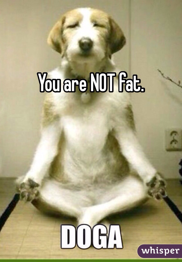 You are NOT fat.