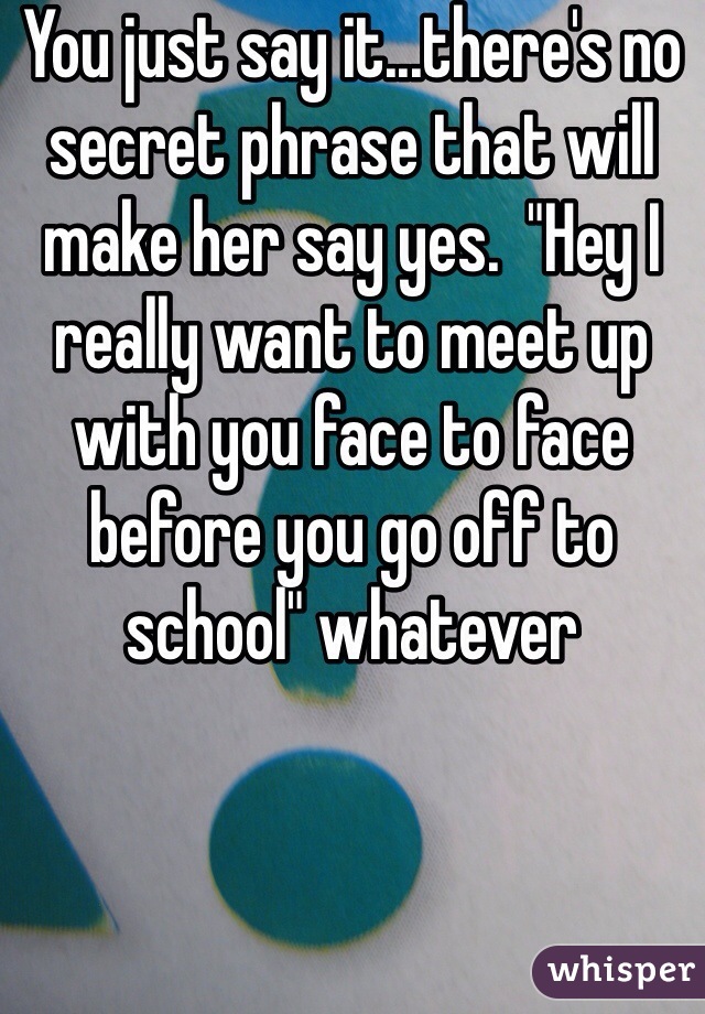 You just say it...there's no secret phrase that will make her say yes.  "Hey I really want to meet up with you face to face before you go off to school" whatever