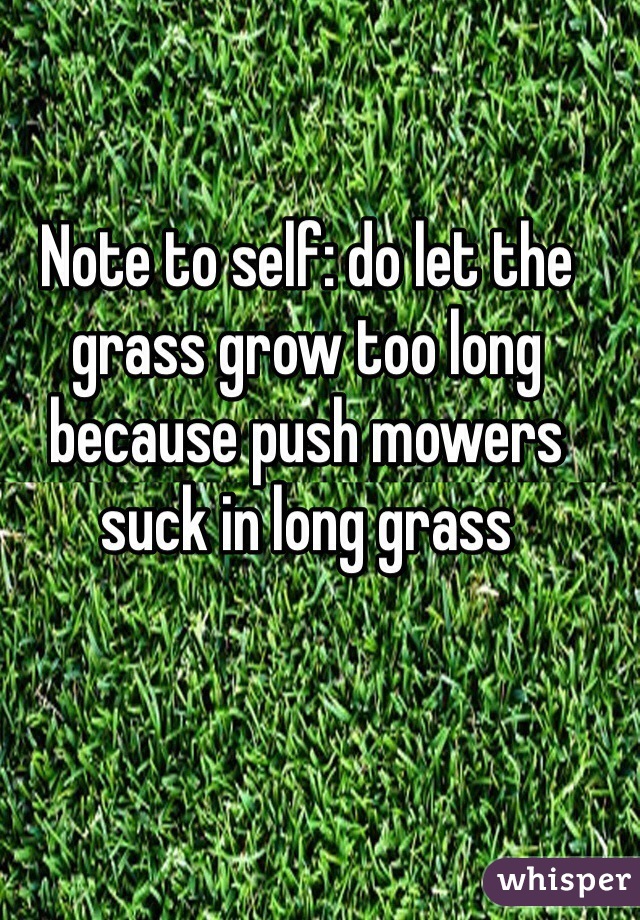 Note to self: do let the grass grow too long because push mowers suck in long grass