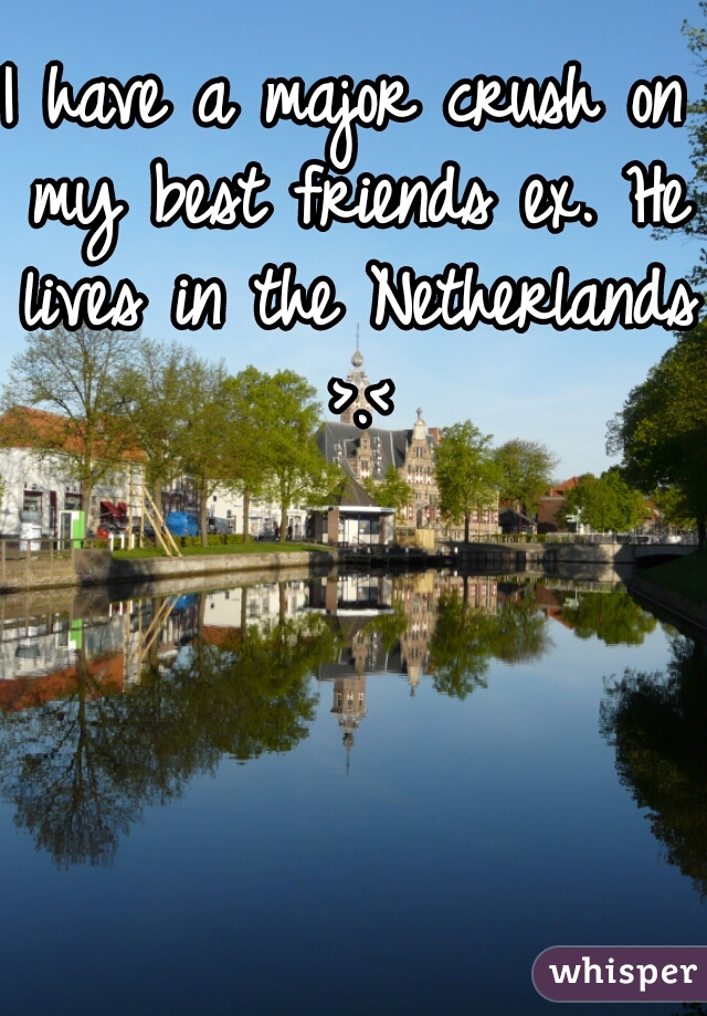 I have a major crush on my best friends ex. He lives in the Netherlands >.<