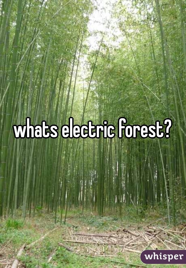 whats electric forest?