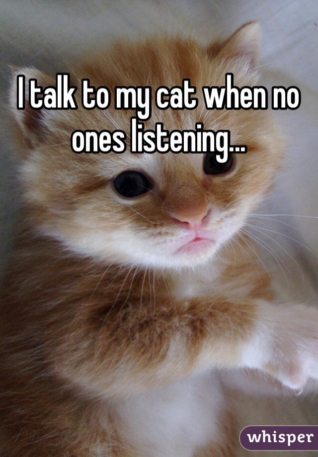 I talk to my cat when no ones listening...