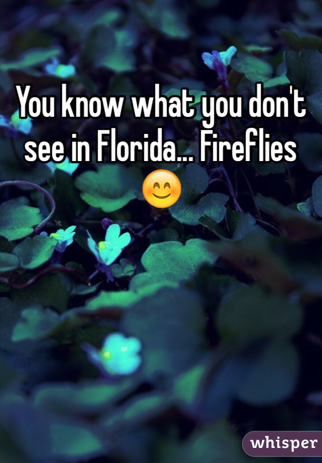 You know what you don't see in Florida... Fireflies 😊