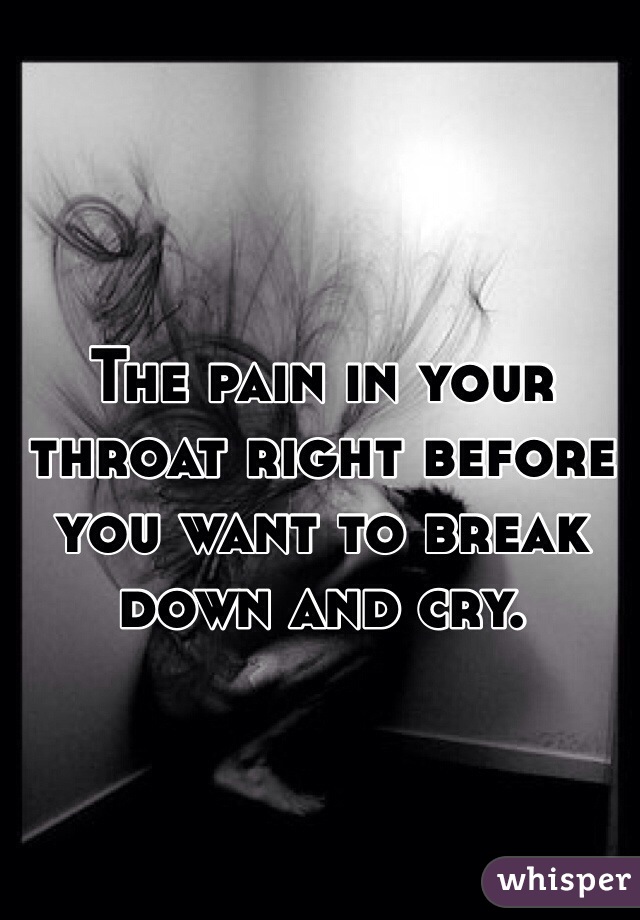 The pain in your throat right before you want to break down and cry. 