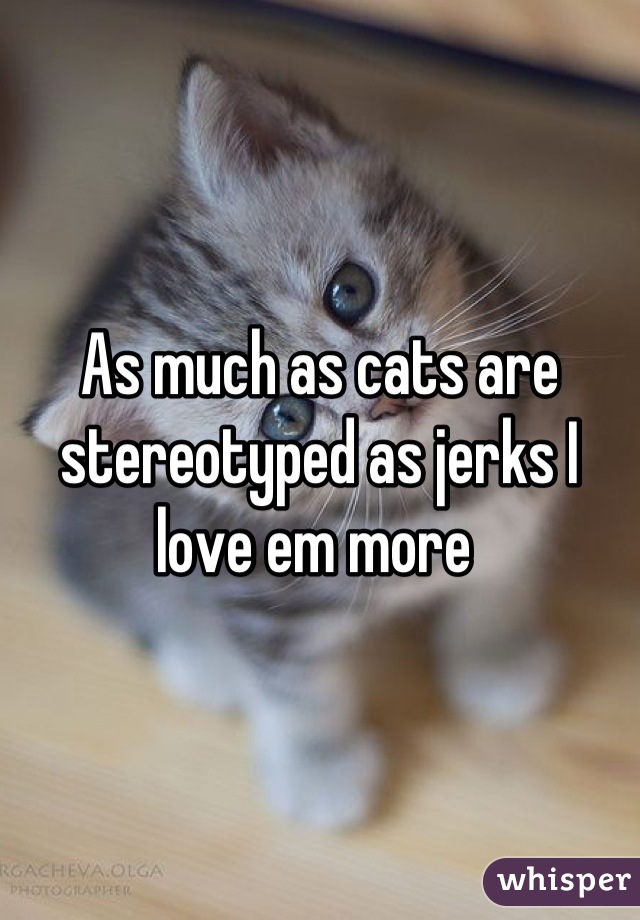 As much as cats are stereotyped as jerks I love em more 