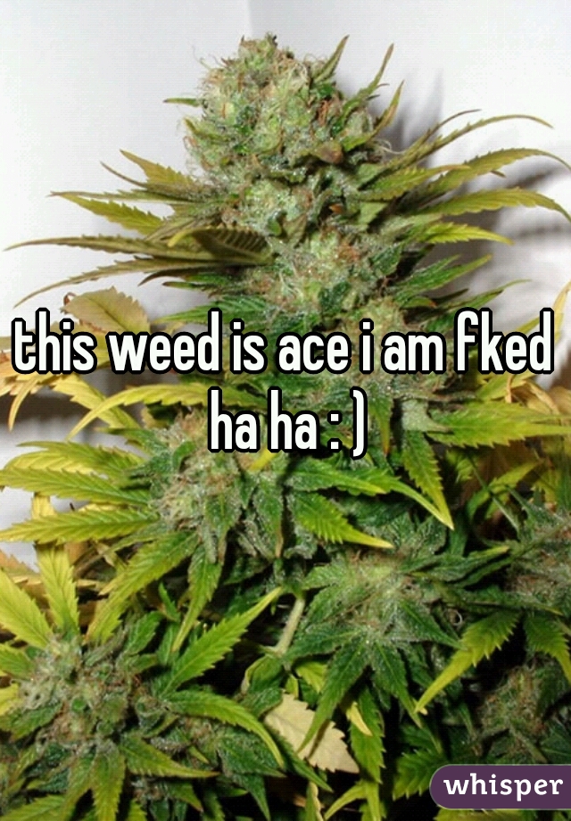 this weed is ace i am fked ha ha : )